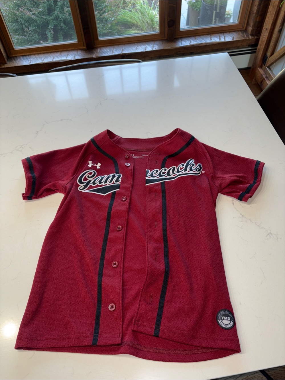 Under Armour Kids Burgundy Gamecocks Baseball Jersey